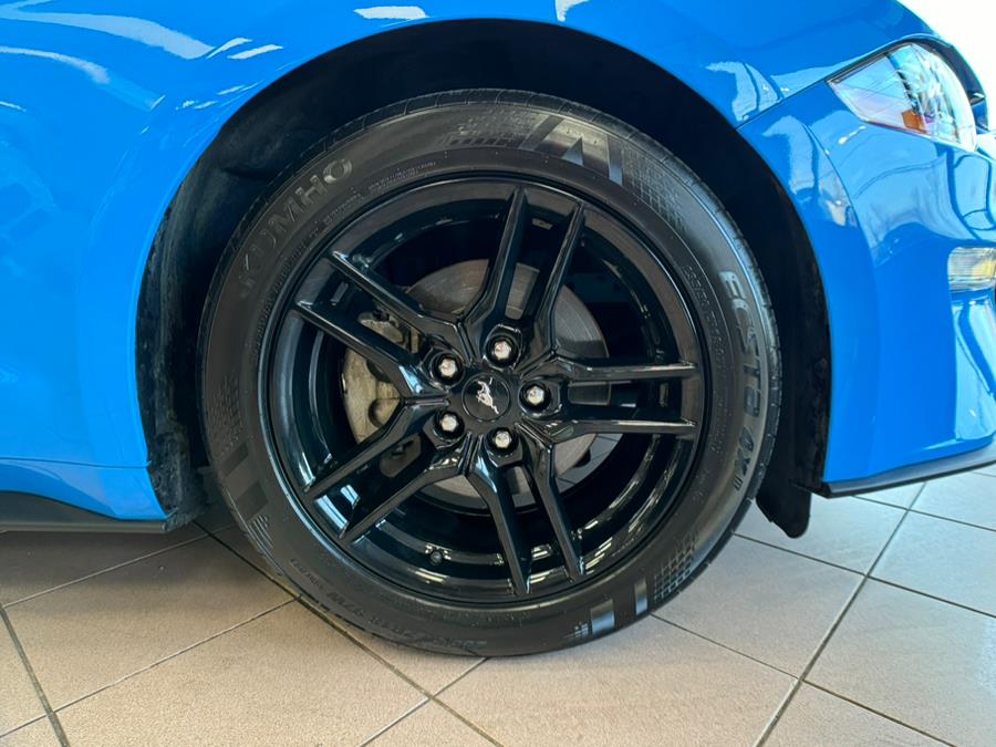 2023 Ford Mustang EcoBoost Premium Convertible, available for sale in Massapequa Park, New York | Power Motors East. Massapequa Park, New York 2023 Ford Mustang EcoBoost Premium Convertible, available for sale in Massapequa Park, New York | Power Motors East. Massapequa Park, New York