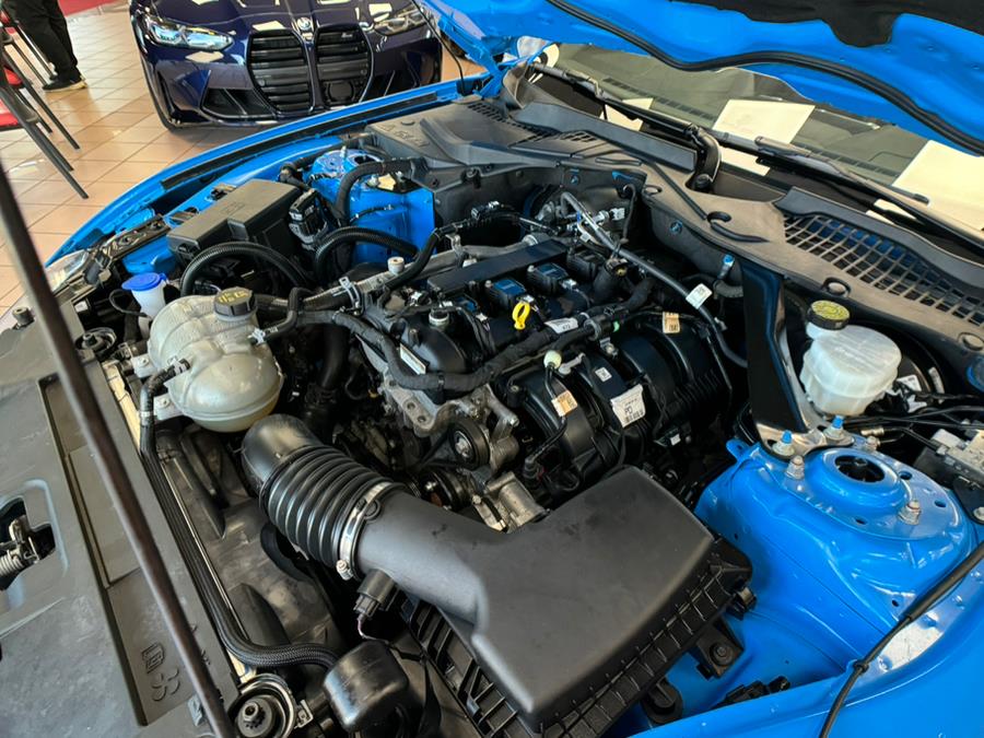 2023 Ford Mustang EcoBoost Premium Convertible, available for sale in Massapequa Park, New York | Power Motors East. Massapequa Park, New York 2023 Ford Mustang EcoBoost Premium Convertible, available for sale in Massapequa Park, New York | Power Motors East. Massapequa Park, New York