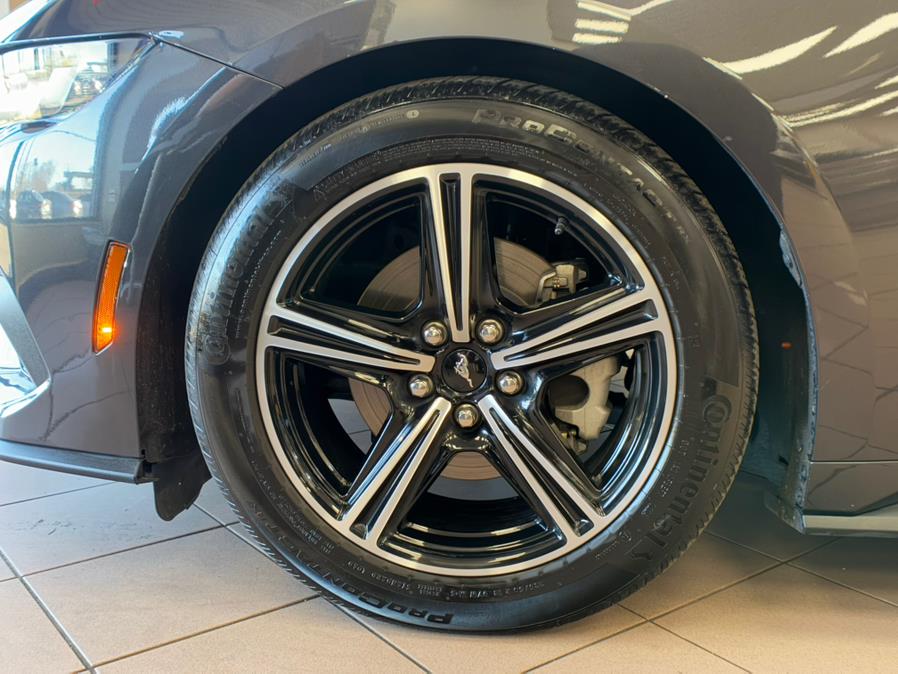 2024 Ford Mustang EcoBoost Premium Convertible, available for sale in Massapequa Park, New York | Power Motors East. Massapequa Park, New York 2024 Ford Mustang EcoBoost Premium Convertible, available for sale in Massapequa Park, New York | Power Motors East. Massapequa Park, New York