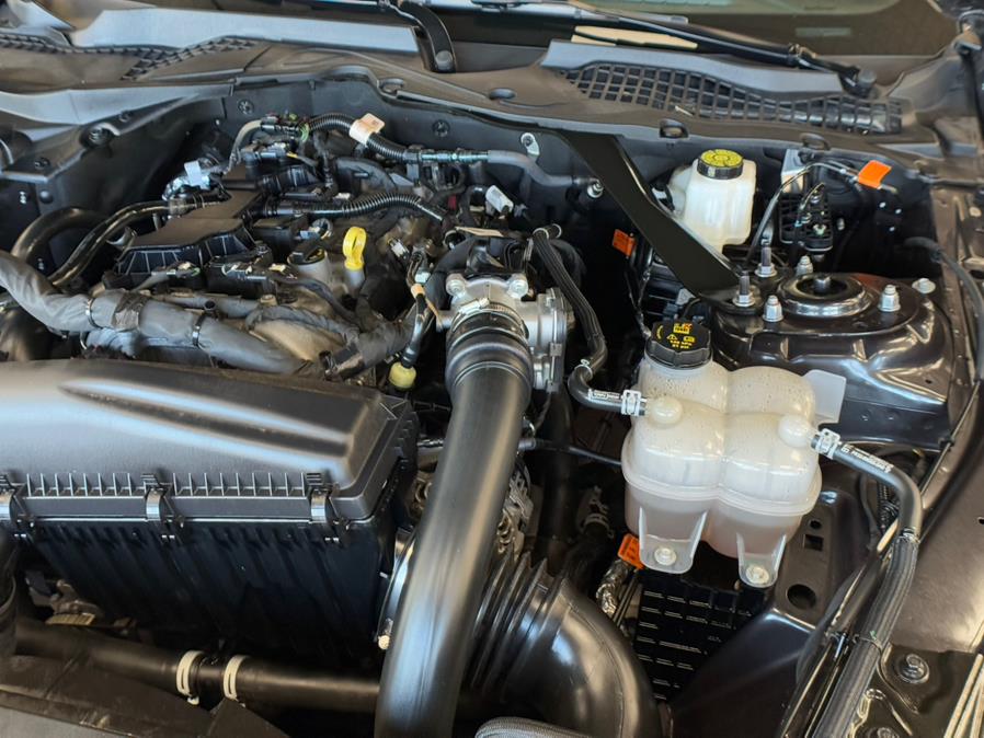 2024 Ford Mustang EcoBoost Premium Convertible, available for sale in Massapequa Park, New York | Power Motors East. Massapequa Park, New York 2024 Ford Mustang EcoBoost Premium Convertible, available for sale in Massapequa Park, New York | Power Motors East. Massapequa Park, New York