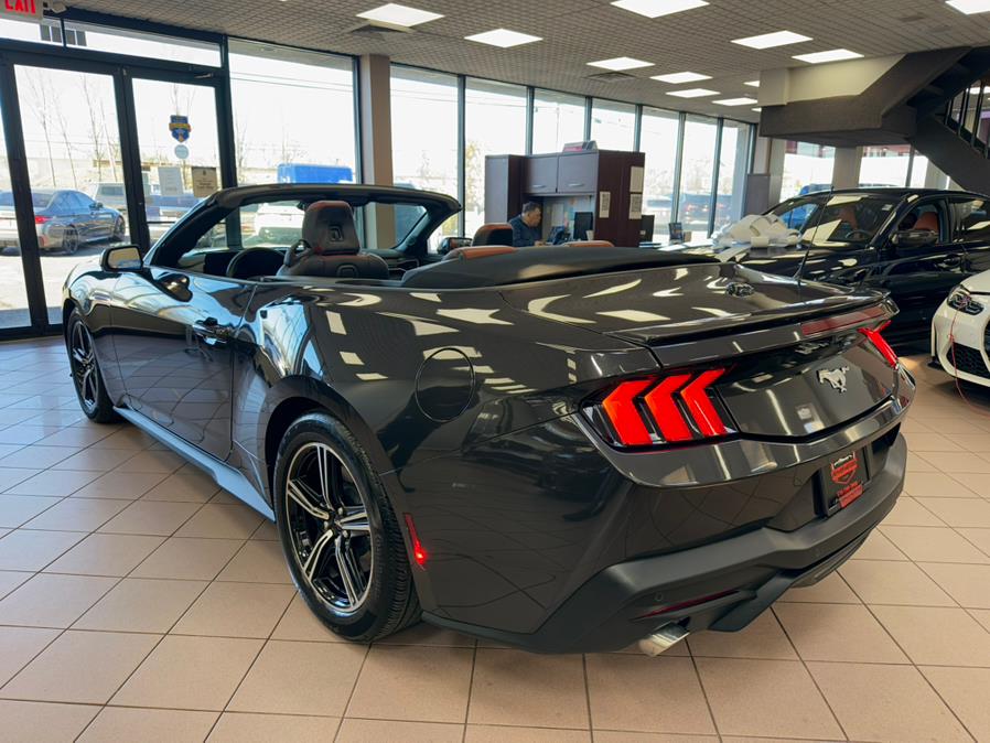 2024 Ford Mustang EcoBoost Premium Convertible, available for sale in Massapequa Park, New York | Power Motors East. Massapequa Park, New York 2024 Ford Mustang EcoBoost Premium Convertible, available for sale in Massapequa Park, New York | Power Motors East. Massapequa Park, New York