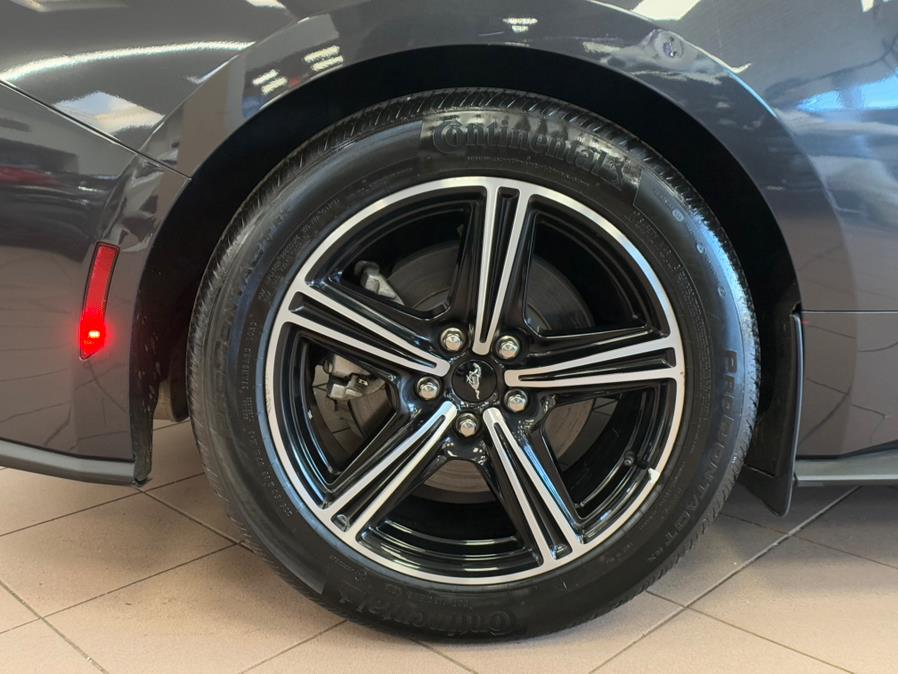 2024 Ford Mustang EcoBoost Premium Convertible, available for sale in Massapequa Park, New York | Power Motors East. Massapequa Park, New York 2024 Ford Mustang EcoBoost Premium Convertible, available for sale in Massapequa Park, New York | Power Motors East. Massapequa Park, New York