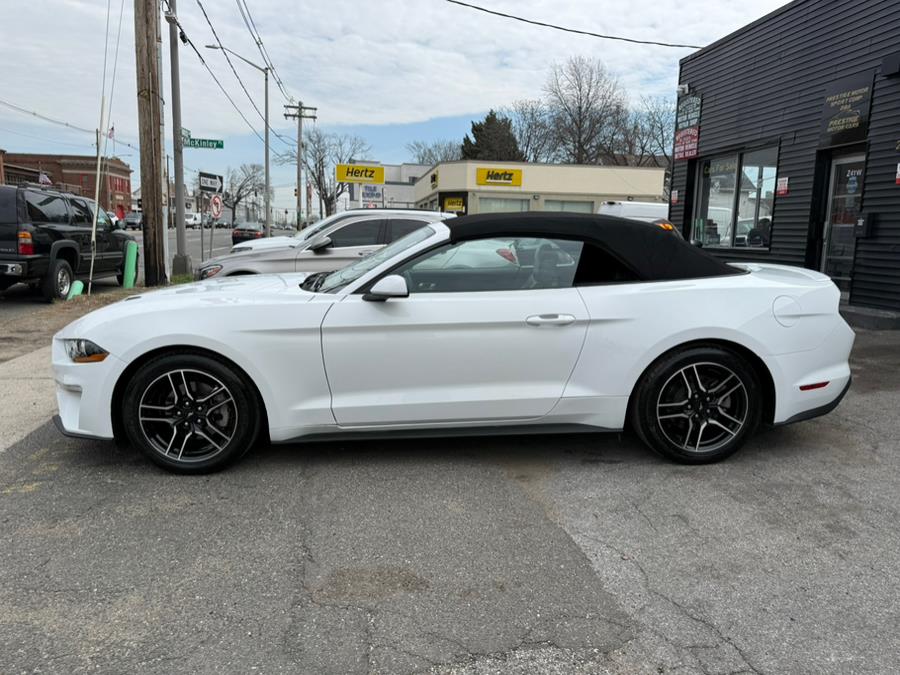 2023 Ford Mustang EcoBoost Premium Convertible, available for sale in Freeport, New York | Prestige Motor Cars. Freeport, New York 2023 Ford Mustang EcoBoost Premium Convertible, available for sale in Freeport, New York | Prestige Motor Cars. Freeport, New York