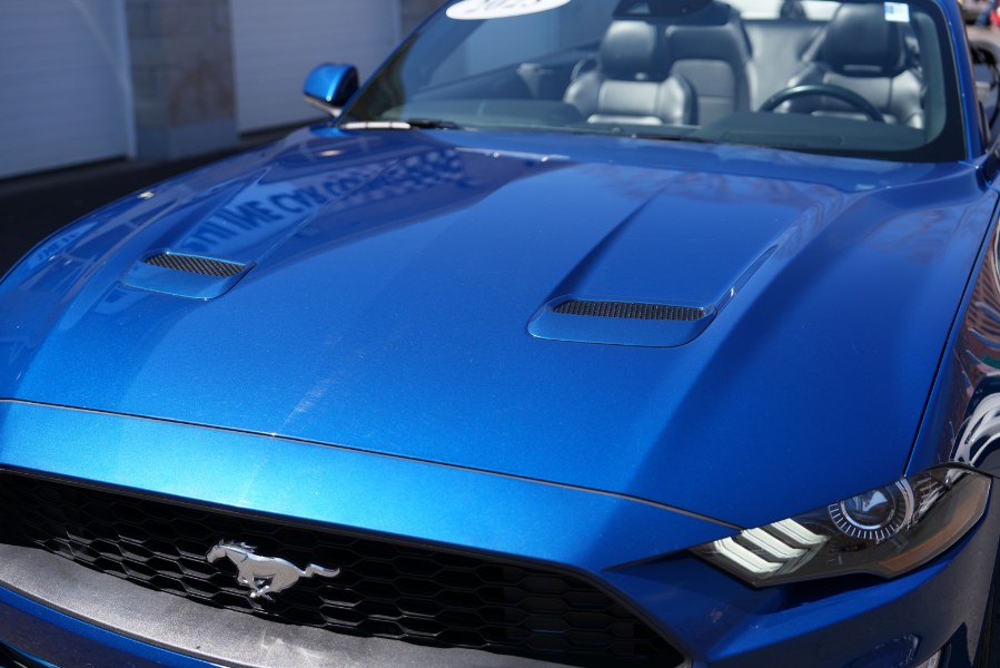 2023 Ford Mustang EcoBoost Premium Convertible, available for sale in Waterbury, Connecticut | Highline Car Connection. Waterbury, Connecticut 2023 Ford Mustang EcoBoost Premium Convertible, available for sale in Waterbury, Connecticut | Highline Car Connection. Waterbury, Connecticut