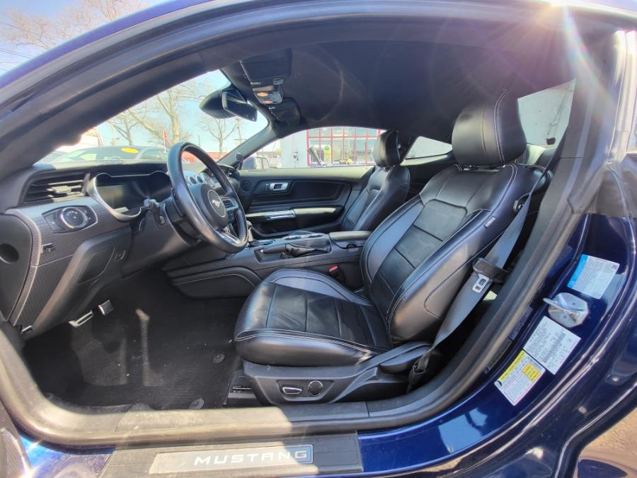 2019 Ford Mustang GT Premium Fastback, available for sale in Plainfield, New Jersey | Best Cars R Us LLC. Plainfield, New Jersey 2019 Ford Mustang GT Premium Fastback, available for sale in Plainfield, New Jersey | Best Cars R Us LLC. Plainfield, New Jersey