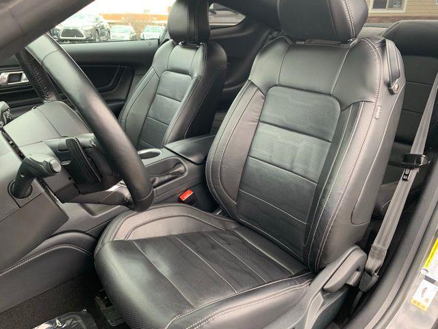 2023 Ford Mustang GT Premium, available for sale in Floral Park, New York | Shop Auto NY. Floral Park, New York 2023 Ford Mustang GT Premium, available for sale in Floral Park, New York | Shop Auto NY. Floral Park, New York