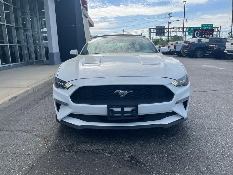 2022 Ford Mustang EcoBoost Premium CONVE, available for sale in Maple Shade, New Jersey | Car Revolution. Maple Shade, New Jersey 2022 Ford Mustang EcoBoost Premium CONVE, available for sale in Maple Shade, New Jersey | Car Revolution. Maple Shade, New Jersey