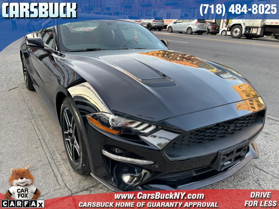 Used 2019 Ford Mustang in Brooklyn, New York | Carsbuck Inc.. Brooklyn, New York
