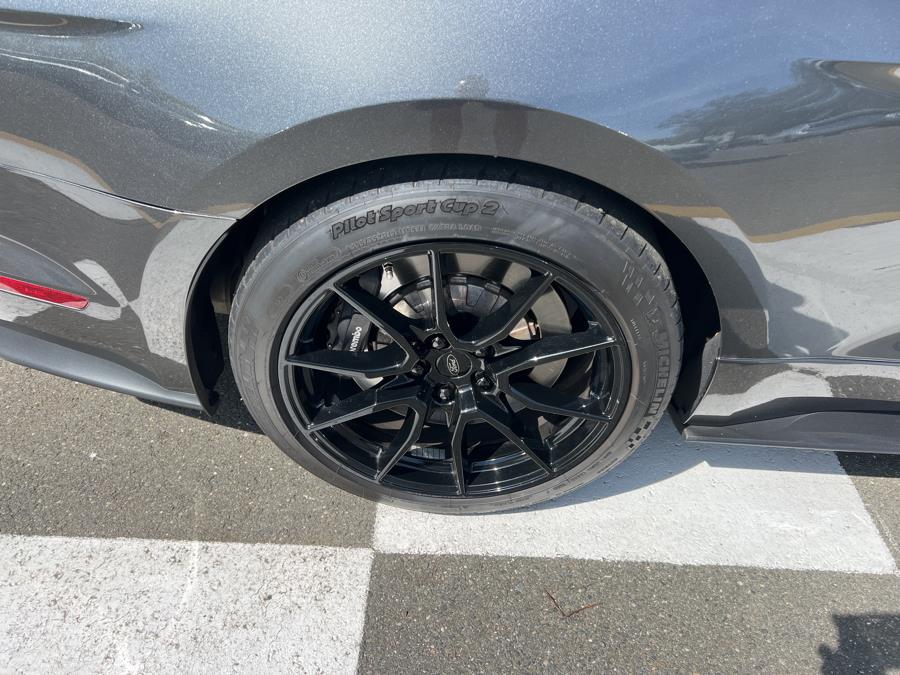 2019 Ford Mustang Shelby GT350 Fastback, available for sale in Waterbury, Connecticut | National Auto Brokers, Inc.. Waterbury, Connecticut 2019 Ford Mustang Shelby GT350 Fastback, available for sale in Waterbury, Connecticut | National Auto Brokers, Inc.. Waterbury, Connecticut