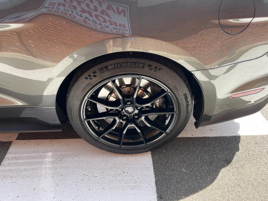 2019 Ford Mustang Shelby GT350 Fastback, available for sale in Waterbury, Connecticut | National Auto Brokers, Inc.. Waterbury, Connecticut 2019 Ford Mustang Shelby GT350 Fastback, available for sale in Waterbury, Connecticut | National Auto Brokers, Inc.. Waterbury, Connecticut