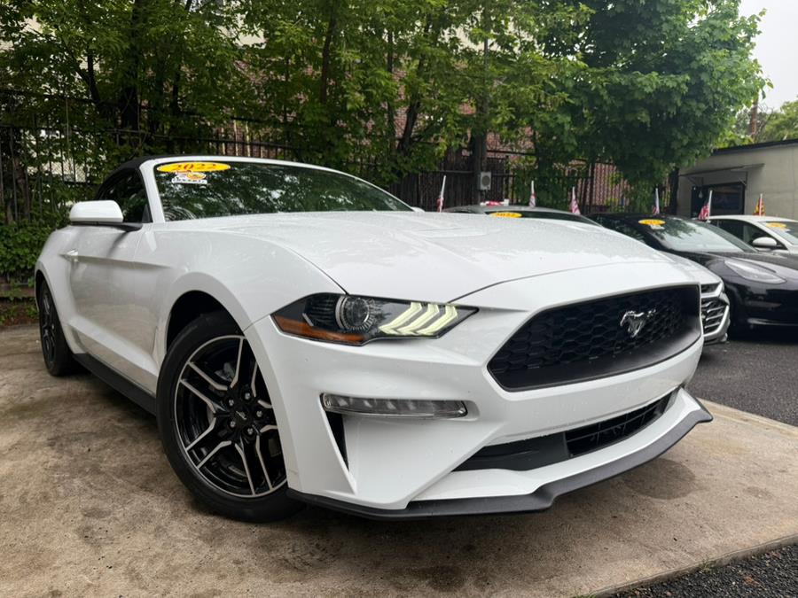 2022 Ford Mustang EcoBoost Premium Convertible, available for sale in Newark, New Jersey | Champion Of Newark. Newark, New Jersey 2022 Ford Mustang EcoBoost Premium Convertible, available for sale in Newark, New Jersey | Champion Of Newark. Newark, New Jersey