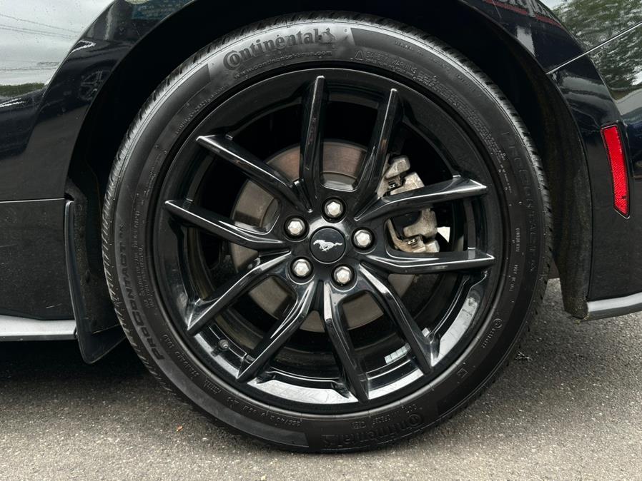 2024 Ford Mustang EcoBoost Premium Fastback, available for sale in Hillside, New Jersey | Champion Auto Hillside. Hillside, New Jersey 2024 Ford Mustang EcoBoost Premium Fastback, available for sale in Hillside, New Jersey | Champion Auto Hillside. Hillside, New Jersey