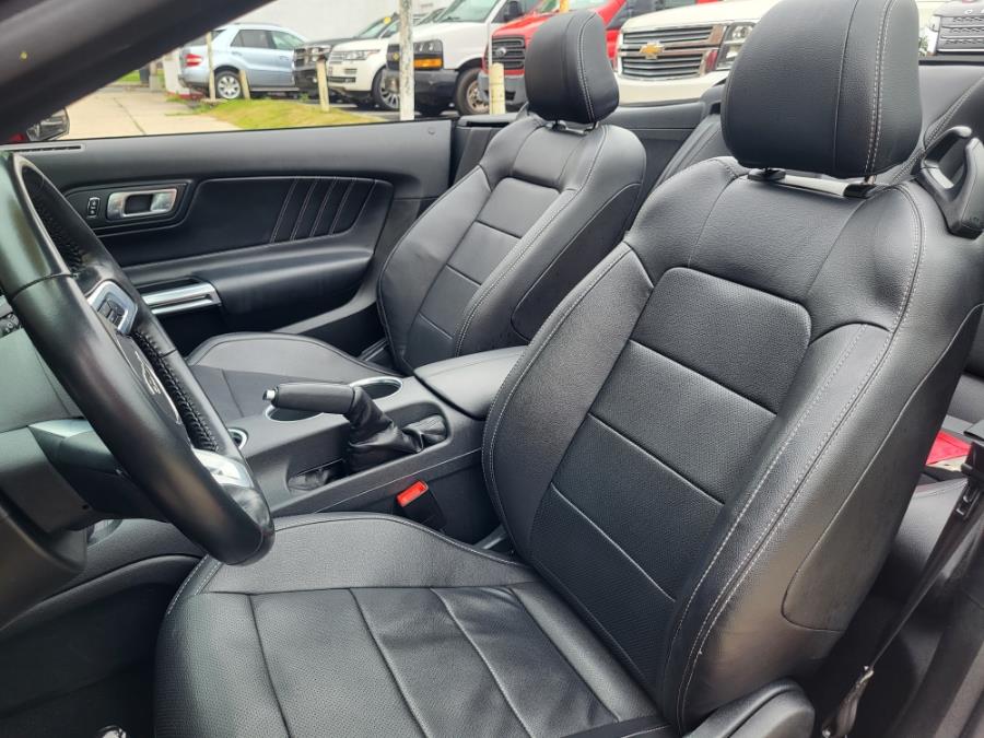 2023 Ford Mustang EcoBoost Convertible, available for sale in Plainfield, New Jersey | Best Cars R Us LLC. Plainfield, New Jersey 2023 Ford Mustang EcoBoost Convertible, available for sale in Plainfield, New Jersey | Best Cars R Us LLC. Plainfield, New Jersey