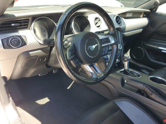 2022 Ford Mustang EcoBoost Premium, available for sale in Woodside, New York | Drive Central. Woodside, New York 2022 Ford Mustang EcoBoost Premium, available for sale in Woodside, New York | Drive Central. Woodside, New York