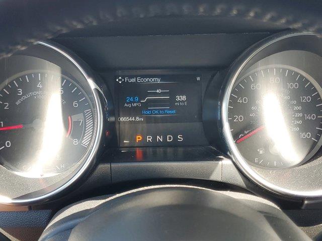 2022 Ford Mustang EcoBoost Premium, available for sale in Woodside, New York | Drive Central. Woodside, New York 2022 Ford Mustang EcoBoost Premium, available for sale in Woodside, New York | Drive Central. Woodside, New York