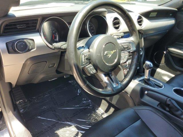 2022 Ford Mustang EcoBoost Premium, available for sale in Woodside, New York | Drive Central. Woodside, New York 2022 Ford Mustang EcoBoost Premium, available for sale in Woodside, New York | Drive Central. Woodside, New York
