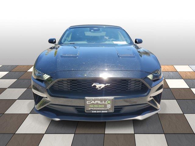 2022 Ford Mustang EcoBoost Premium, available for sale in Woodside, New York | Drive Central. Woodside, New York 2022 Ford Mustang EcoBoost Premium, available for sale in Woodside, New York | Drive Central. Woodside, New York
