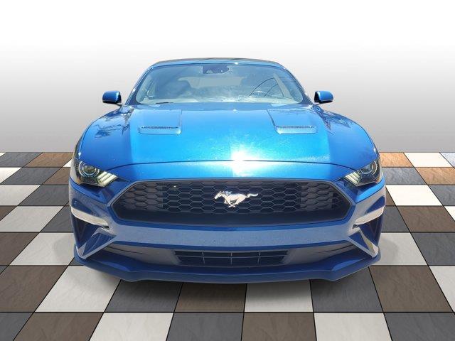 2022 Ford Mustang EcoBoost Premium, available for sale in Woodside, New York | Drive Central. Woodside, New York 2022 Ford Mustang EcoBoost Premium, available for sale in Woodside, New York | Drive Central. Woodside, New York