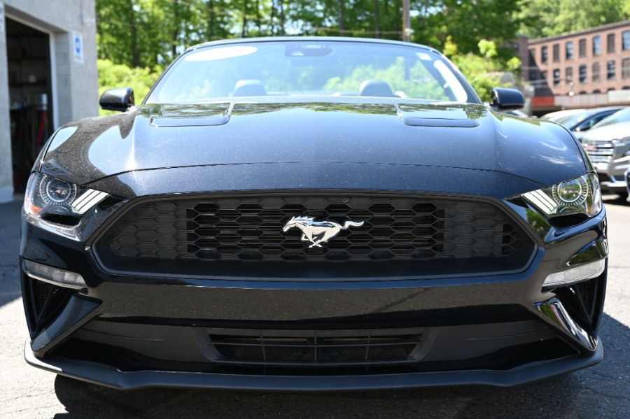 2023 Ford Mustang EcoBoost Premium Convertible, available for sale in Waterbury, Connecticut | Highline Car Connection. Waterbury, Connecticut 2023 Ford Mustang EcoBoost Premium Convertible, available for sale in Waterbury, Connecticut | Highline Car Connection. Waterbury, Connecticut