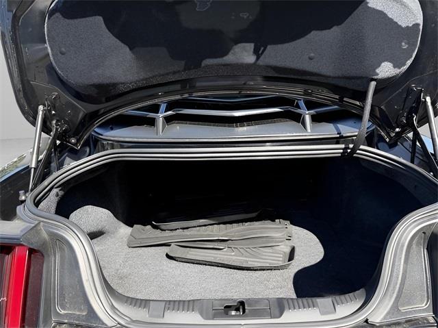 2017 Ford Mustang GT, available for sale in Stratford, Connecticut | Wiz Leasing Inc. Stratford, Connecticut 2017 Ford Mustang GT, available for sale in Stratford, Connecticut | Wiz Leasing Inc. Stratford, Connecticut