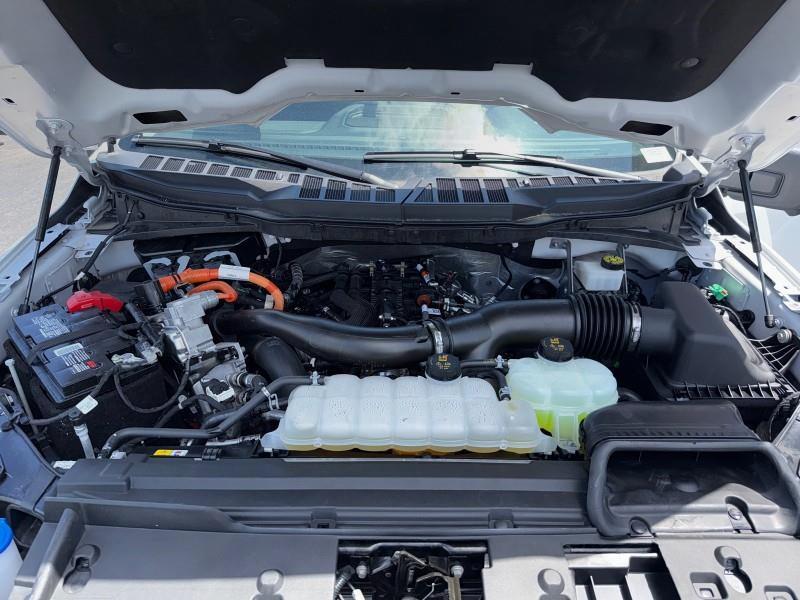 2024 Ford F-150 XLT 4WD, available for sale in Maple Shade, New Jersey | Car Revolution. Maple Shade, New Jersey 2024 Ford F-150 XLT 4WD, available for sale in Maple Shade, New Jersey | Car Revolution. Maple Shade, New Jersey