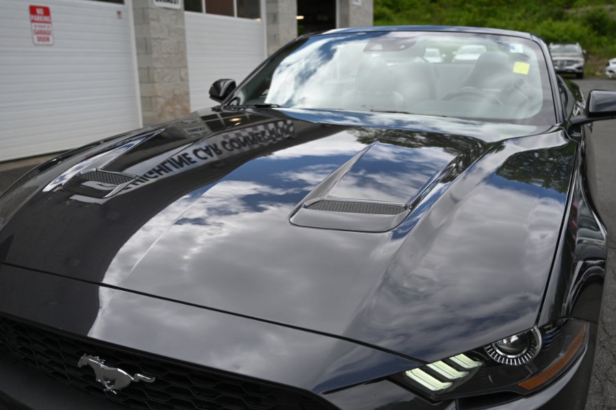 2023 Ford Mustang EcoBoost Premium Convertible, available for sale in Waterbury, Connecticut | Highline Car Connection. Waterbury, Connecticut 2023 Ford Mustang EcoBoost Premium Convertible, available for sale in Waterbury, Connecticut | Highline Car Connection. Waterbury, Connecticut