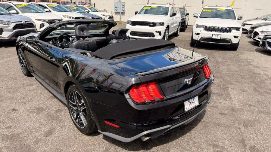 2023 Ford Mustang EcoBoost Premium Convertible 2D, available for sale in Linden, New Jersey | Route 27 Auto Mall. Linden, New Jersey 2023 Ford Mustang EcoBoost Premium Convertible 2D, available for sale in Linden, New Jersey | Route 27 Auto Mall. Linden, New Jersey