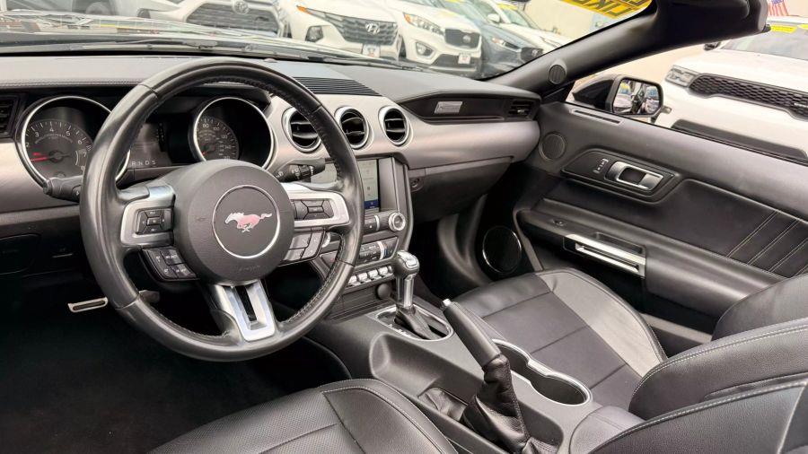 2023 Ford Mustang EcoBoost Premium Convertible 2D, available for sale in Linden, New Jersey | Route 27 Auto Mall. Linden, New Jersey 2023 Ford Mustang EcoBoost Premium Convertible 2D, available for sale in Linden, New Jersey | Route 27 Auto Mall. Linden, New Jersey