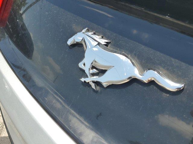 2017 Ford Mustang EcoBoost Premium Convertible, available for sale in Woodside, New York | Drive Central. Woodside, New York 2017 Ford Mustang EcoBoost Premium Convertible, available for sale in Woodside, New York | Drive Central. Woodside, New York