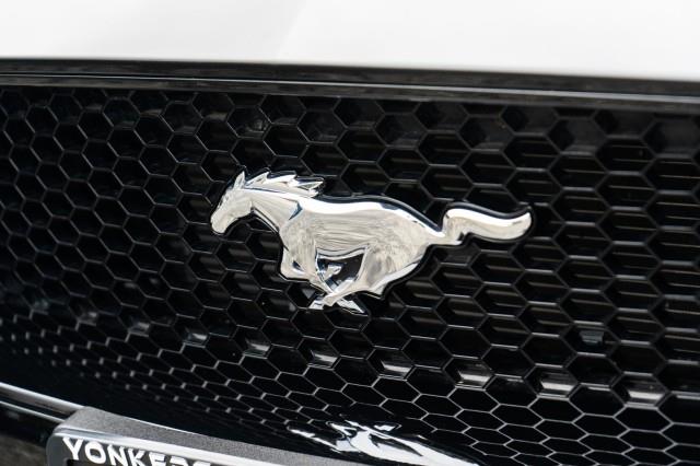 2020 Ford Mustang GT Premium Convertible, available for sale in Yonkers, New York | Westchester Auto Group. Yonkers, New York 2020 Ford Mustang GT Premium Convertible, available for sale in Yonkers, New York | Westchester Auto Group. Yonkers, New York