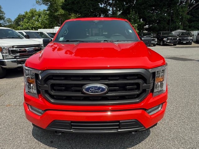 2021 Ford F-150 XLT Sport 4WD SuperCrew 5.5'' Box, available for sale in Huntington Station, New York | Huntington Auto Mall. Huntington Station, New York 2021 Ford F-150 XLT Sport 4WD SuperCrew 5.5'' Box, available for sale in Huntington Station, New York | Huntington Auto Mall. Huntington Station, New York