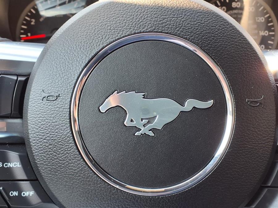 2023 Ford Mustang EcoBoost Fastback, available for sale in Flushing, New York | Silverline Auto Group. Flushing, New York 2023 Ford Mustang EcoBoost Fastback, available for sale in Flushing, New York | Silverline Auto Group. Flushing, New York