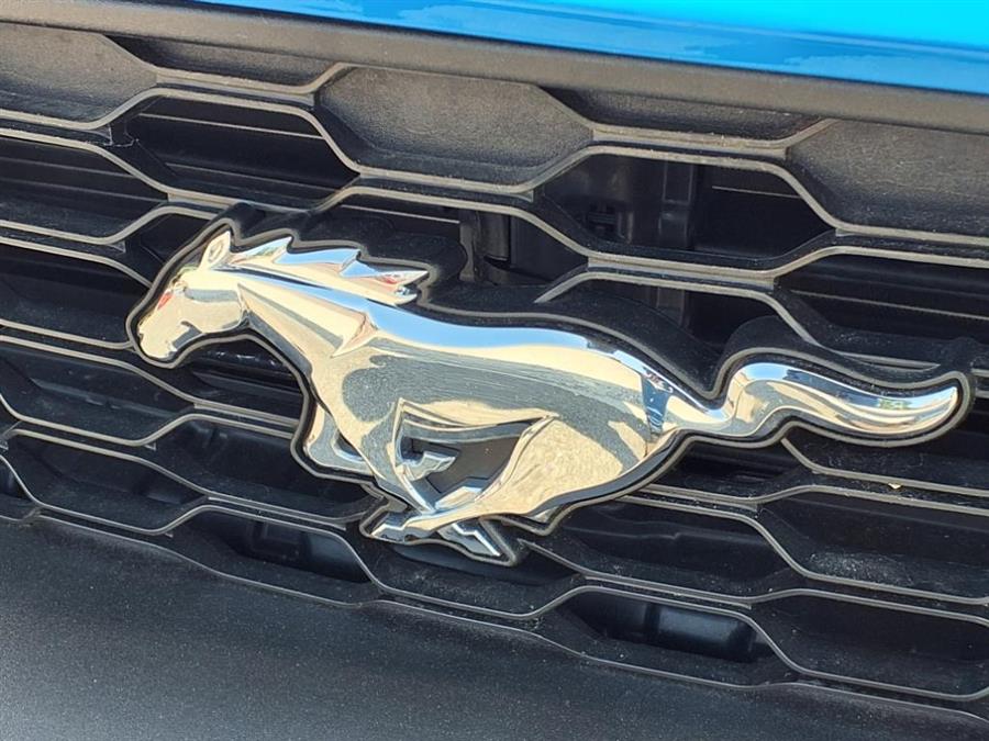 2023 Ford Mustang EcoBoost Fastback, available for sale in Flushing, New York | Silverline Auto Group. Flushing, New York 2023 Ford Mustang EcoBoost Fastback, available for sale in Flushing, New York | Silverline Auto Group. Flushing, New York