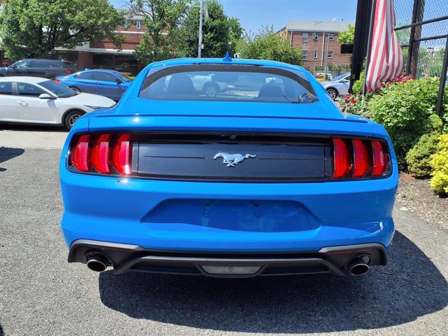 2023 Ford Mustang EcoBoost Fastback, available for sale in Flushing, New York | Silverline Auto Group. Flushing, New York 2023 Ford Mustang EcoBoost Fastback, available for sale in Flushing, New York | Silverline Auto Group. Flushing, New York