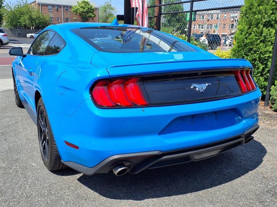 2023 Ford Mustang EcoBoost Fastback, available for sale in Flushing, New York | Silverline Auto Group. Flushing, New York 2023 Ford Mustang EcoBoost Fastback, available for sale in Flushing, New York | Silverline Auto Group. Flushing, New York