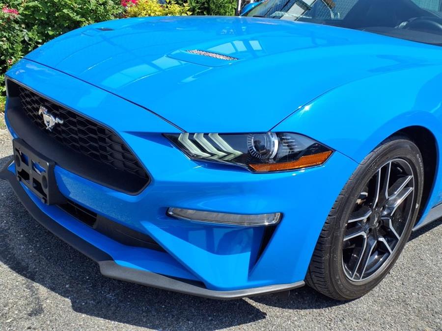 2023 Ford Mustang EcoBoost Fastback, available for sale in Flushing, New York | Silverline Auto Group. Flushing, New York 2023 Ford Mustang EcoBoost Fastback, available for sale in Flushing, New York | Silverline Auto Group. Flushing, New York