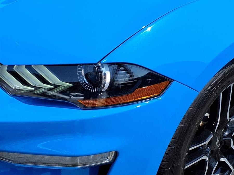 2023 Ford Mustang EcoBoost Fastback, available for sale in Flushing, New York | Silverline Auto Group. Flushing, New York 2023 Ford Mustang EcoBoost Fastback, available for sale in Flushing, New York | Silverline Auto Group. Flushing, New York