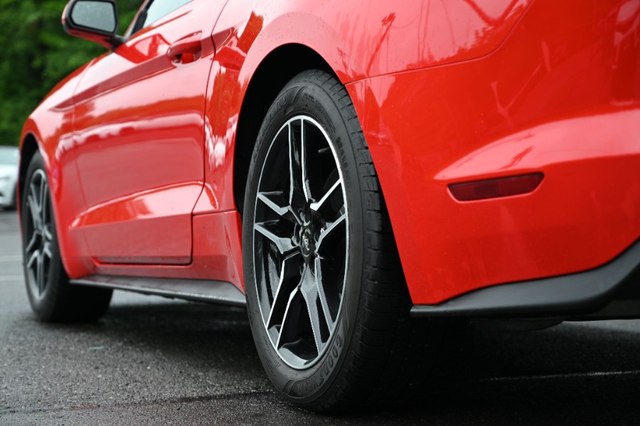 2023 Ford Mustang EcoBoost Premium Convertible, available for sale in Waterbury, Connecticut | Highline Car Connection. Waterbury, Connecticut 2023 Ford Mustang EcoBoost Premium Convertible, available for sale in Waterbury, Connecticut | Highline Car Connection. Waterbury, Connecticut