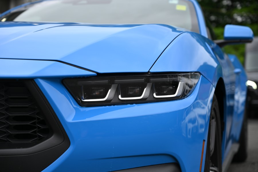 2024 Ford Mustang EcoBoost Fastback, available for sale in Waterbury, Connecticut | Highline Car Connection. Waterbury, Connecticut 2024 Ford Mustang EcoBoost Fastback, available for sale in Waterbury, Connecticut | Highline Car Connection. Waterbury, Connecticut
