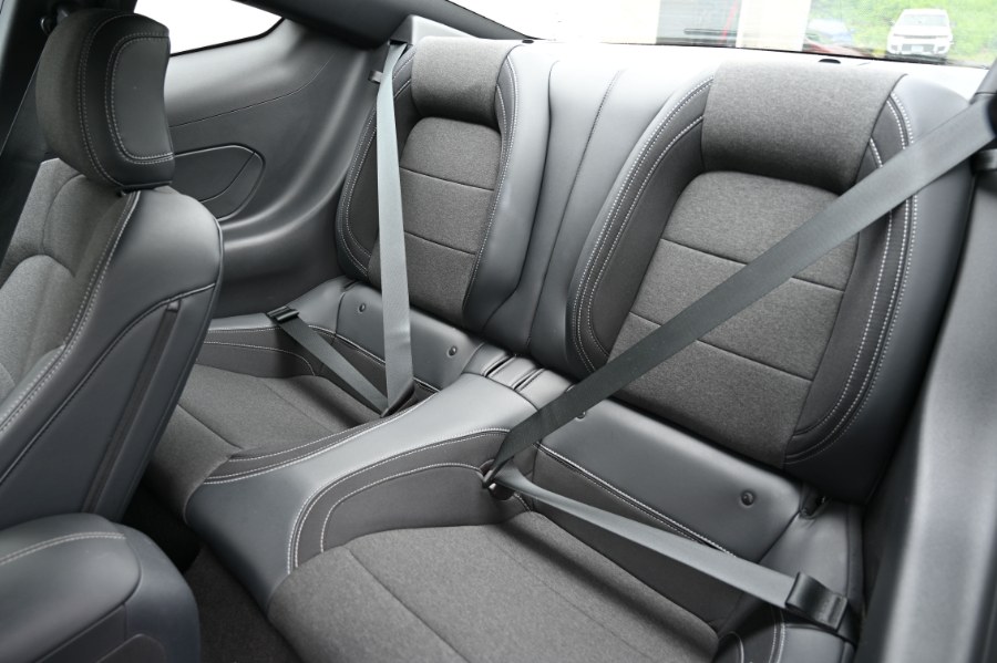 2024 Ford Mustang EcoBoost Fastback, available for sale in Waterbury, Connecticut | Highline Car Connection. Waterbury, Connecticut 2024 Ford Mustang EcoBoost Fastback, available for sale in Waterbury, Connecticut | Highline Car Connection. Waterbury, Connecticut