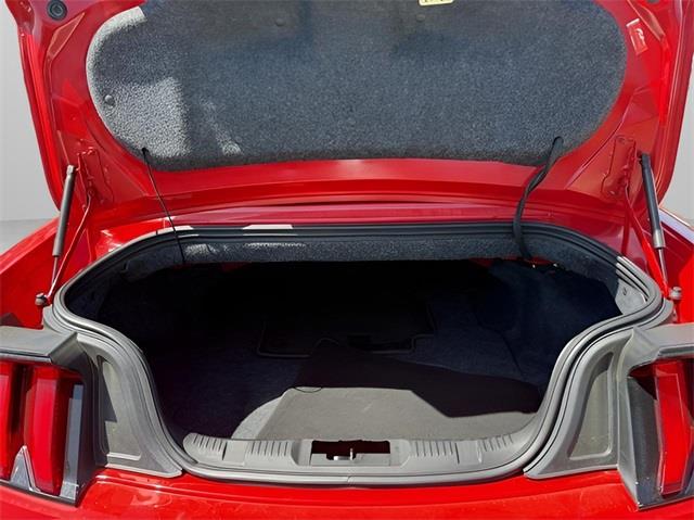 2019 Ford Mustang GT Premium, available for sale in Stratford, Connecticut | Wiz Leasing Inc. Stratford, Connecticut 2019 Ford Mustang GT Premium, available for sale in Stratford, Connecticut | Wiz Leasing Inc. Stratford, Connecticut