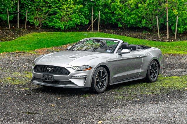 Used 2022 Ford Mustang in Great Neck, New York | Camy Cars. Great Neck, New York