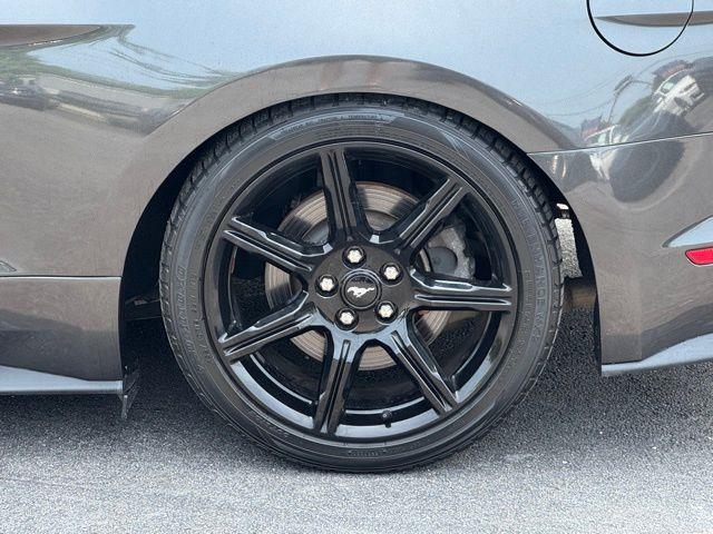 2020 Ford Mustang GT, available for sale in Floral Park, New York | Shop Auto NY. Floral Park, New York 2020 Ford Mustang GT, available for sale in Floral Park, New York | Shop Auto NY. Floral Park, New York