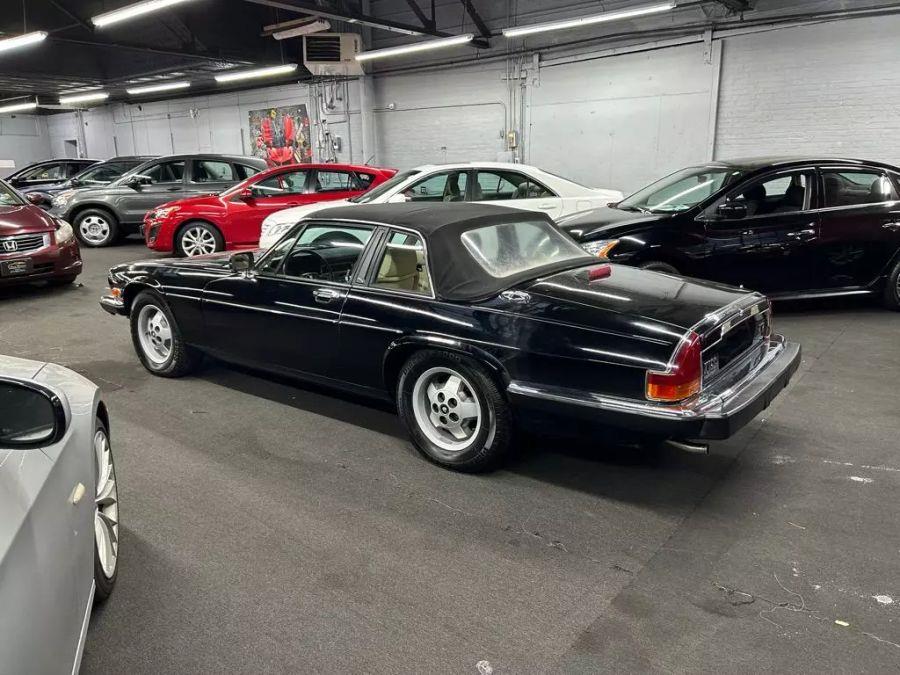 1986 Jaguar Xj XJ-SC HE 2D Coupe, available for sale in Garfield, New Jersey | Urban Motors Collection. Garfield, New Jersey 1986 Jaguar Xj XJ-SC HE 2D Coupe, available for sale in Garfield, New Jersey | Urban Motors Collection. Garfield, New Jersey