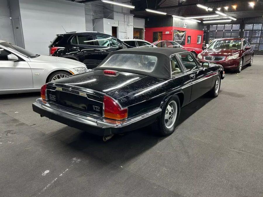 1986 Jaguar Xj XJ-SC HE 2D Coupe, available for sale in Garfield, New Jersey | Urban Motors Collection. Garfield, New Jersey 1986 Jaguar Xj XJ-SC HE 2D Coupe, available for sale in Garfield, New Jersey | Urban Motors Collection. Garfield, New Jersey