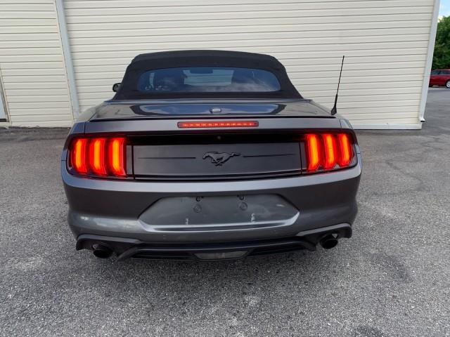 2018 Ford Mustang EcoBoost Premium, available for sale in Forestville, Maryland | Valentine Motor Company. Forestville, Maryland 2018 Ford Mustang EcoBoost Premium, available for sale in Forestville, Maryland | Valentine Motor Company. Forestville, Maryland