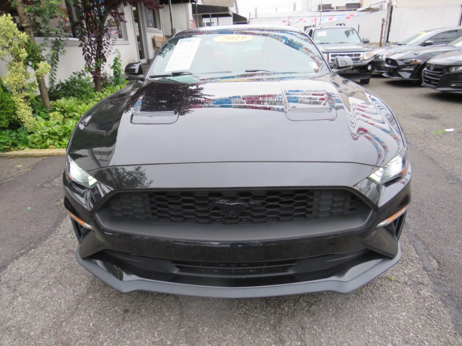 2019 Ford Mustang EcoBoost Premium Performance, available for sale in Middle Village, New York | Road Masters II INC. Middle Village, New York 2019 Ford Mustang EcoBoost Premium Performance, available for sale in Middle Village, New York | Road Masters II INC. Middle Village, New York