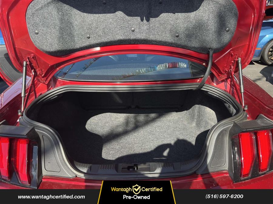 2019 Ford Mustang EcoBoost Fastback, available for sale in Wantagh, New York | Wantagh Certified. Wantagh, New York 2019 Ford Mustang EcoBoost Fastback, available for sale in Wantagh, New York | Wantagh Certified. Wantagh, New York