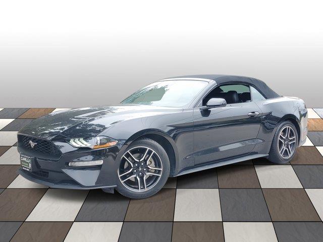 Used 2022 Ford Mustang in Fort Lauderdale, Florida | CarLux Fort Lauderdale. Fort Lauderdale, Florida