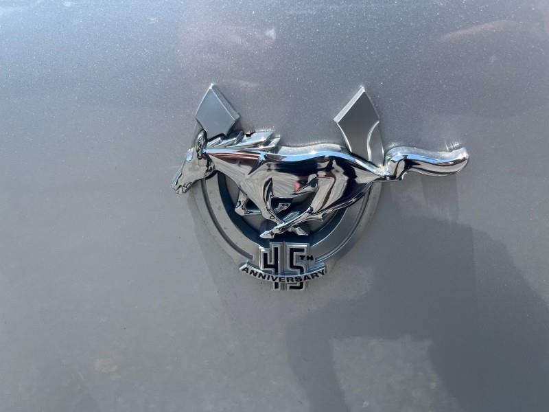 2009 Ford Mustang GT Premium CONV. V8, available for sale in Maple Shade, New Jersey | Car Revolution. Maple Shade, New Jersey 2009 Ford Mustang GT Premium CONV. V8, available for sale in Maple Shade, New Jersey | Car Revolution. Maple Shade, New Jersey